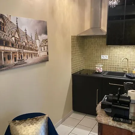 Le Joli Nid Beaunois, Plein Centre Parking